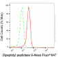KD-Validated Anti-DPP9 Mouse Monoclonal Antibody